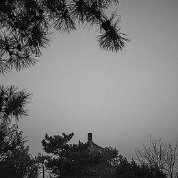 农场休闲模拟游戏《珊瑚岛》10月11日登陆Steam抢先体验